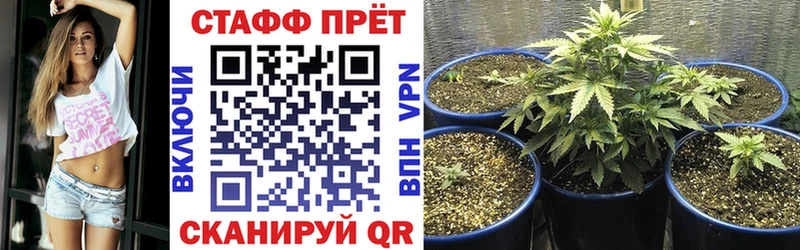 Канабис Лаишево