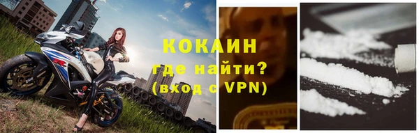 крисы Краснослободск