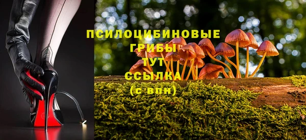 СК Киренск