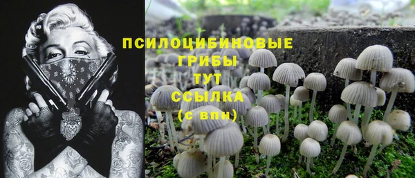 МДПВ Киреевск