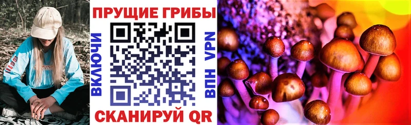 дарк нет клад Лаишево Галлюциногенные грибы Psilocybe